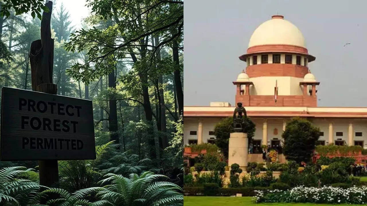 ‘Fake permission’: Delhi forest dept to Supreme Court on tree felling in Ridge area; forged document used for Vasant Kunj housing project​