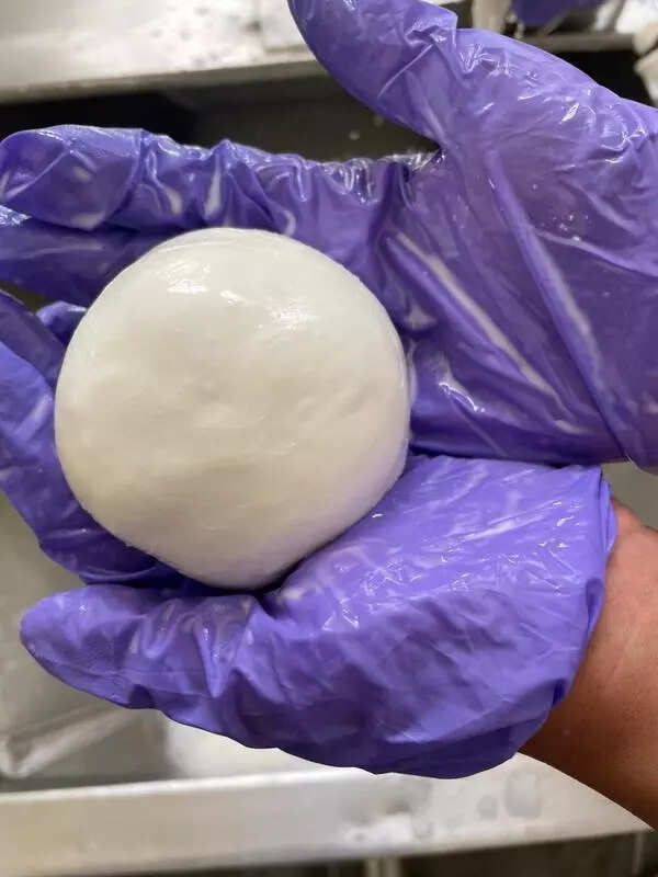 Churn to earn: GADVASU’s cheese plan to boost Punjab farmers’ income