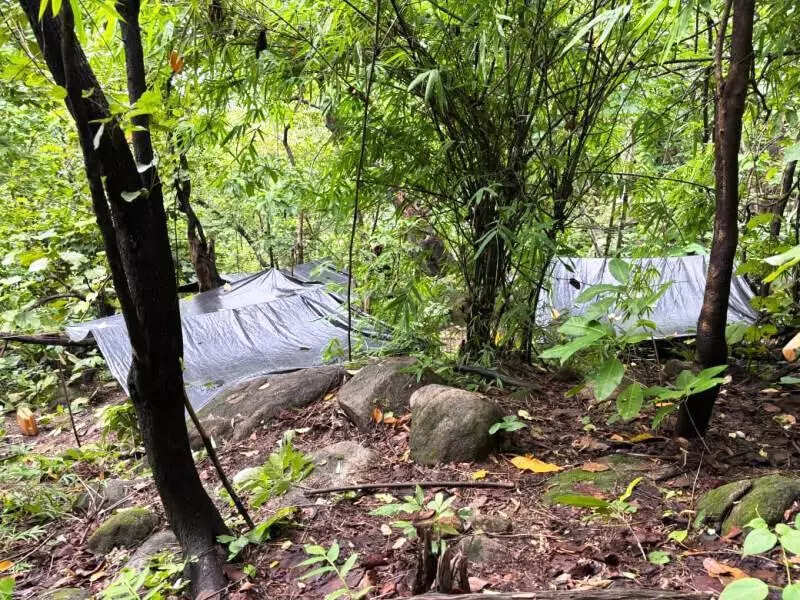 Cache of weapons seized in Gomia