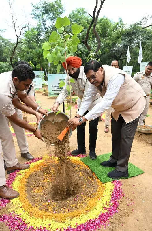 Development is important, we must ask at what cost, asserts CJI Gavai