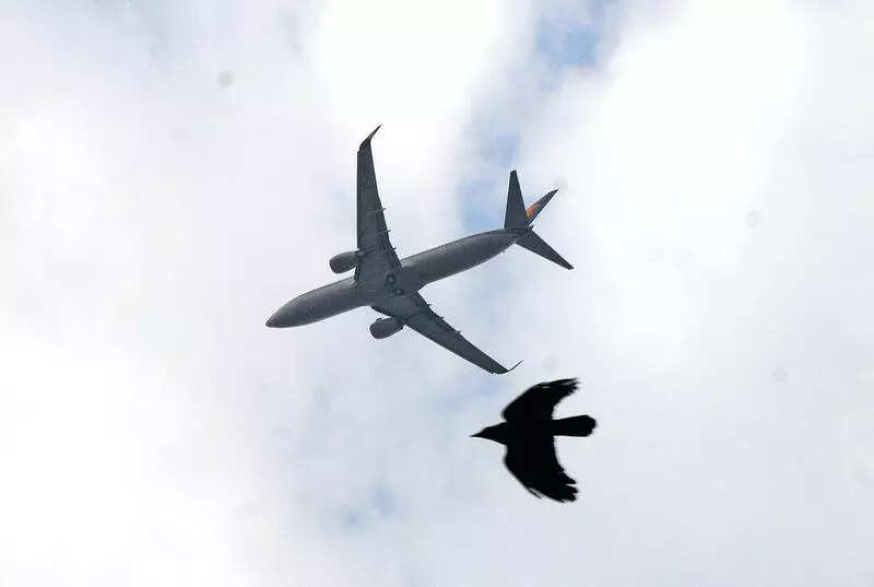 Legal notice flags bird strike risk near SVPI airport in Ahmedabad