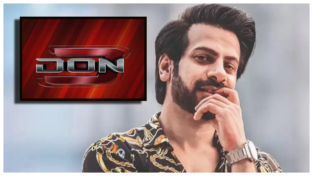 'Don 3': Karan Veer Mehra to play the antagonist?