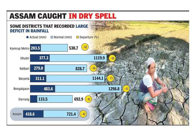 Drought-like situation in 14 dists after large rain deficit