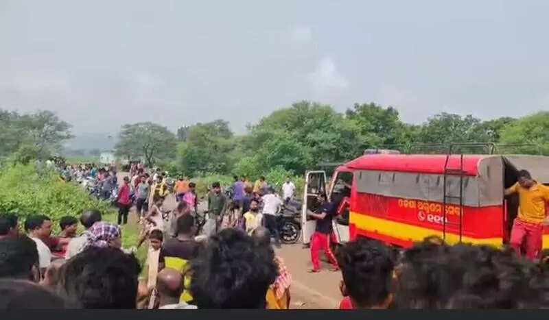 Elderly man drowns in pond