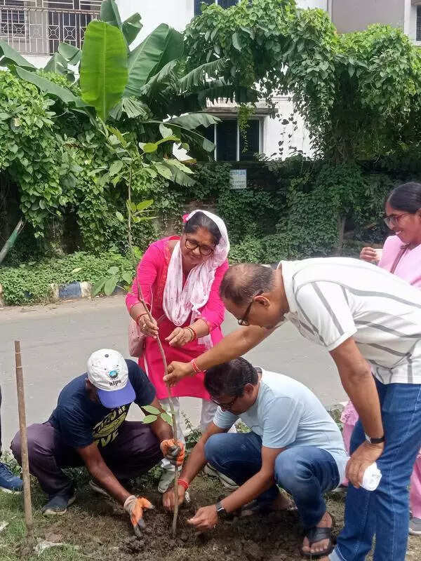 New Town group reaches half way through green drive