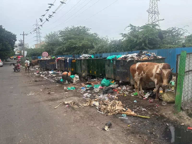HEAD: 20_Che_O_GCC Turns Nolambur Riverside Park into Garbage Dump