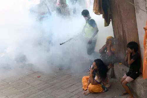 MCD’s health dept short of hands as mosquito breeding drive picks pace