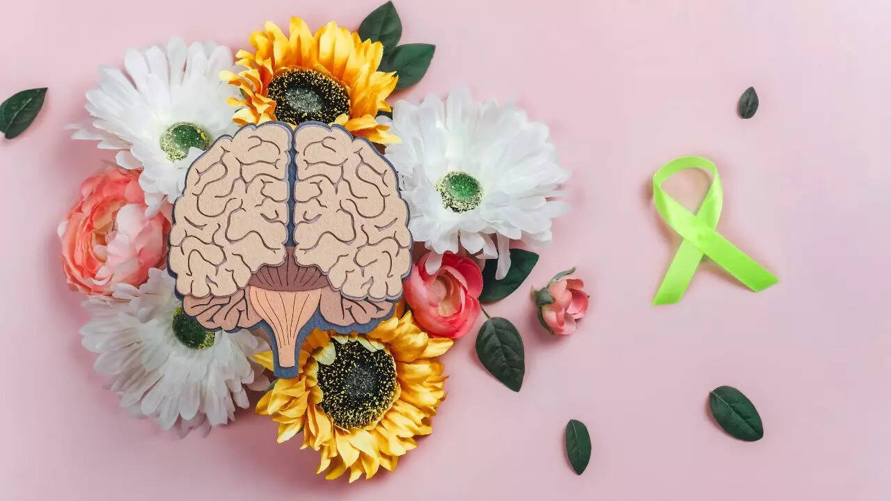 Brain