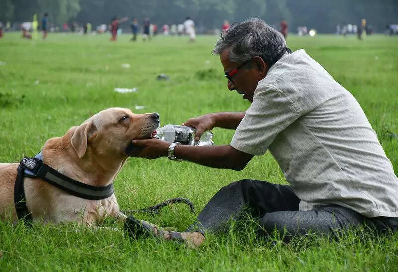 July’s 6th low-pressure system likely, brace for more rain from today, says Met office