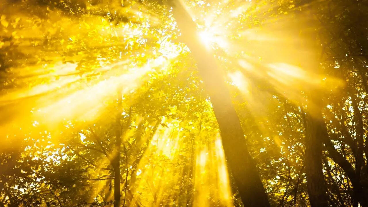 Get morning sunlight