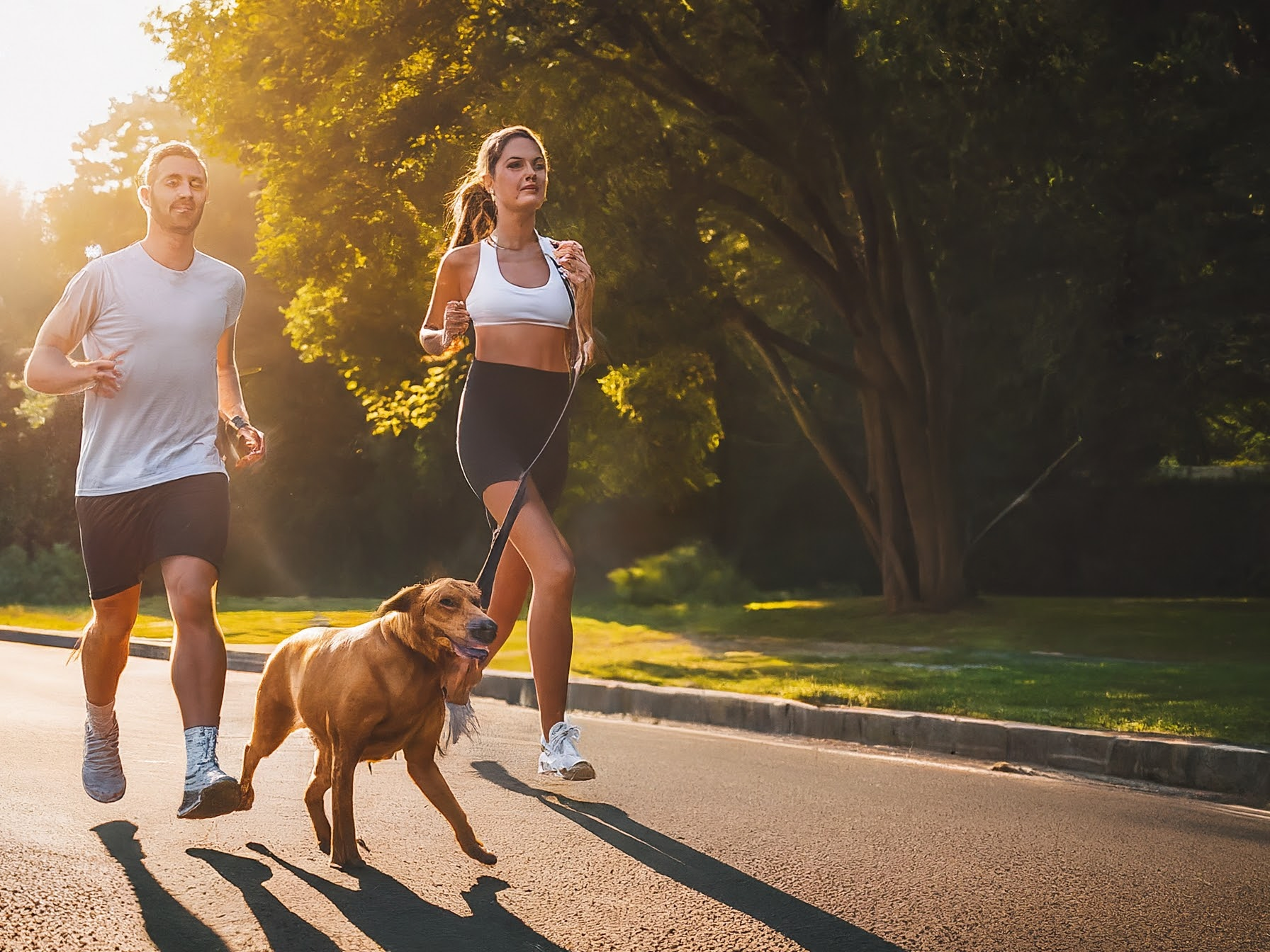 Jogging with my dog in the park