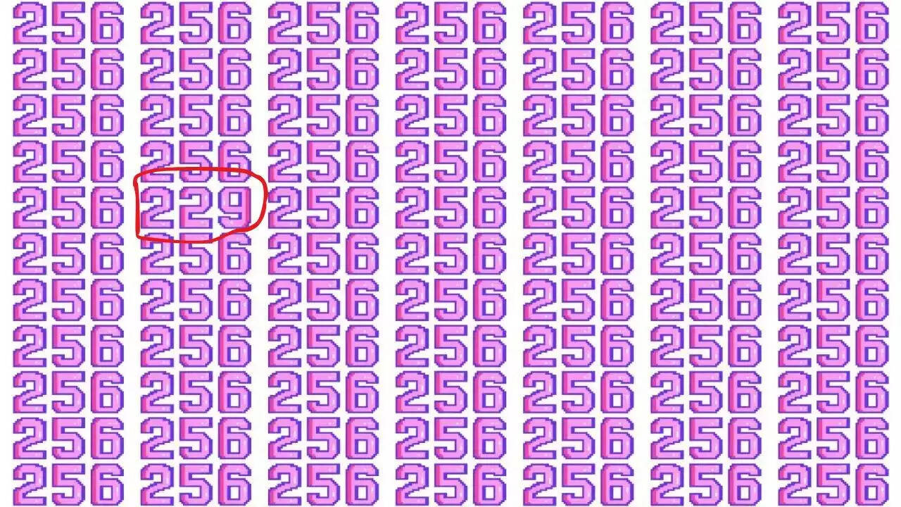 Optical Illusion Answer