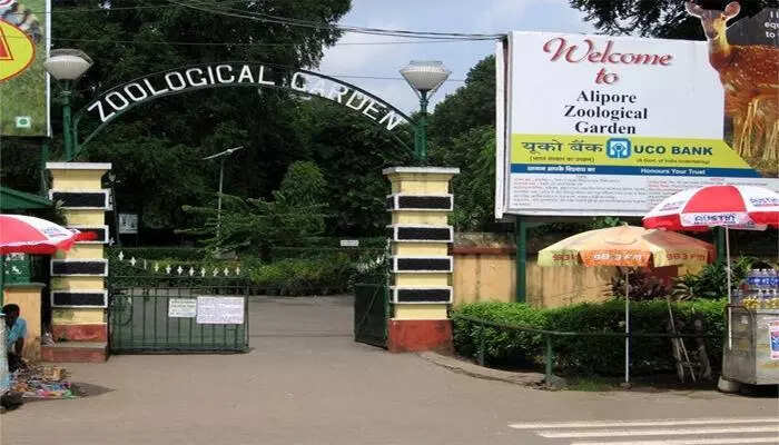 CZA team in Kol, probes Alipore Zoo ‘missing’ animal records, transfers