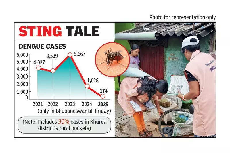 BMC maps 3 high-risk areas to prevent dengue cases