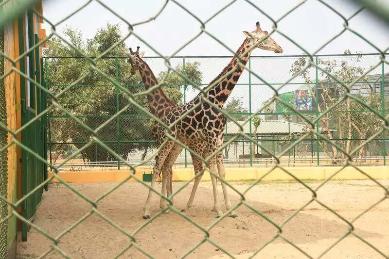 Number mismatch at other zoos in Bengal as well
