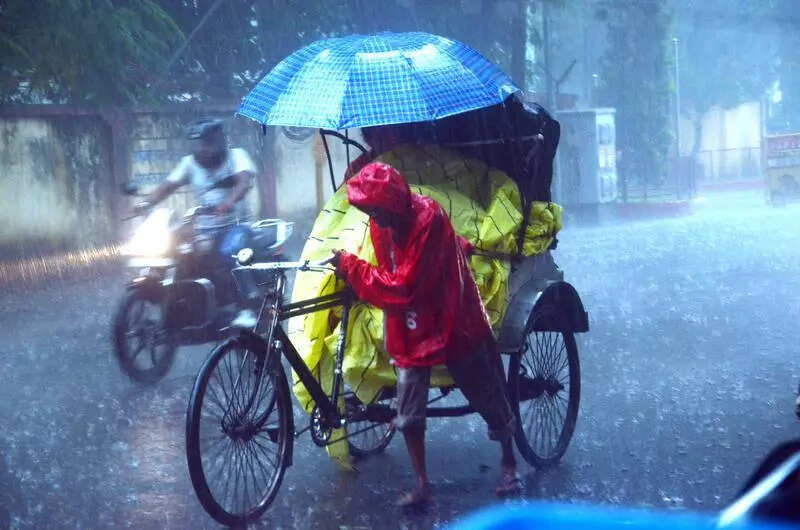 7 districts likely to receive very heavy rain today: IMD