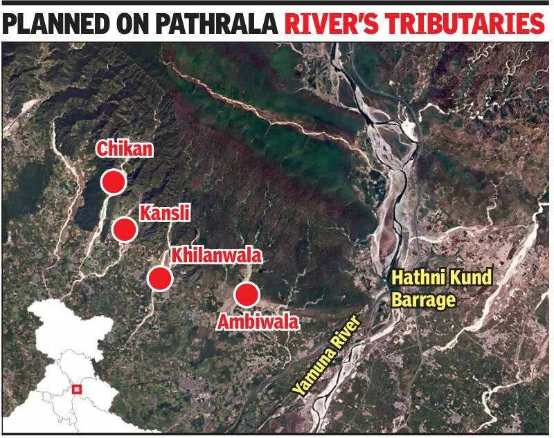 Constructing dams in Kalesar sanctuary will cause irreversible damage, CEC tells SC