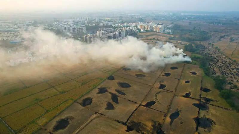Punjab government rolls out fresh strategy to combat stubble burning