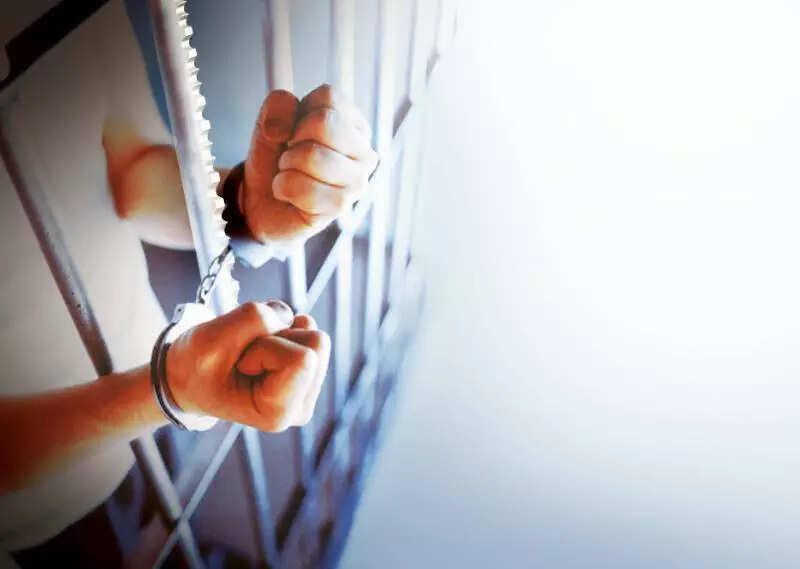 Two arrested over bullfight held at Colva