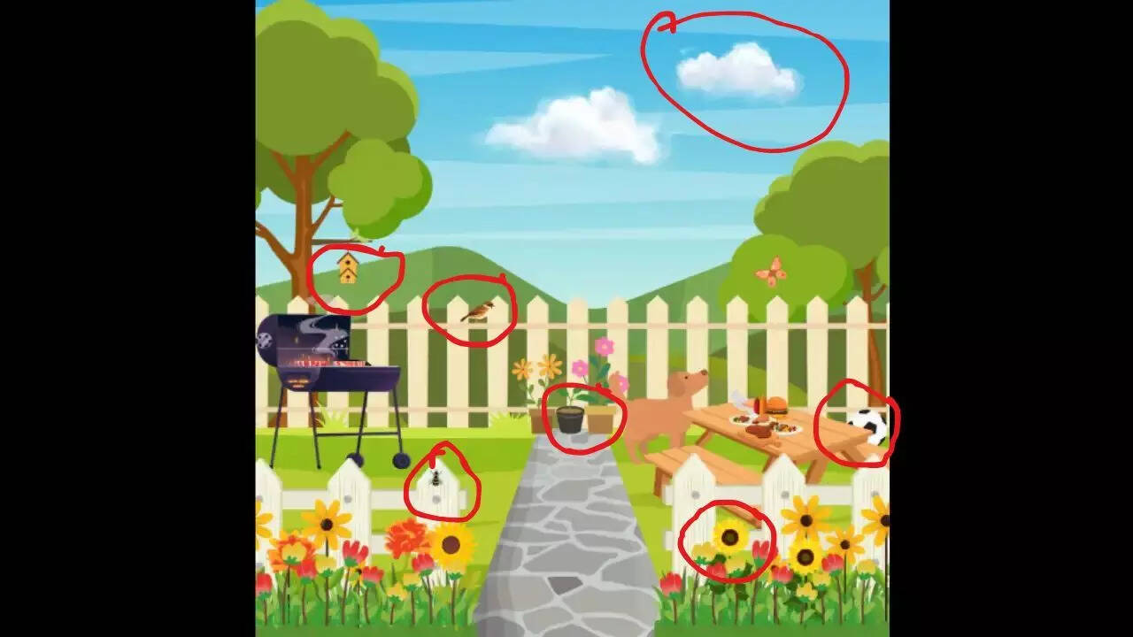 Optical Illusion Answer