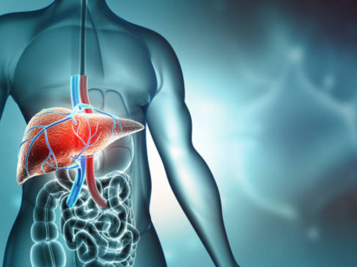 Makes your liver feel lighter