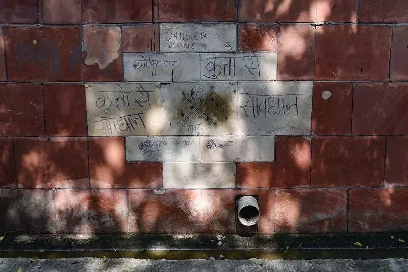 ...Boy (4) mauled by dogs, kin say third such attack on him