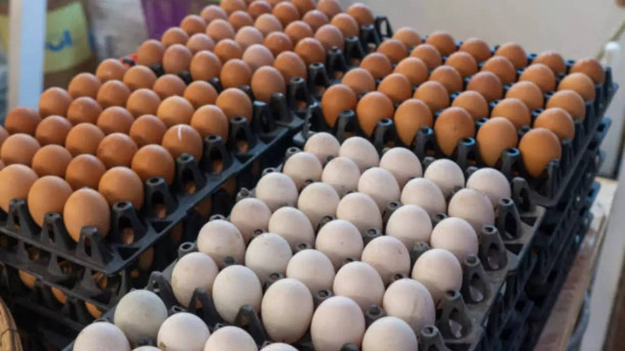 What is the difference between white and brown eggs?