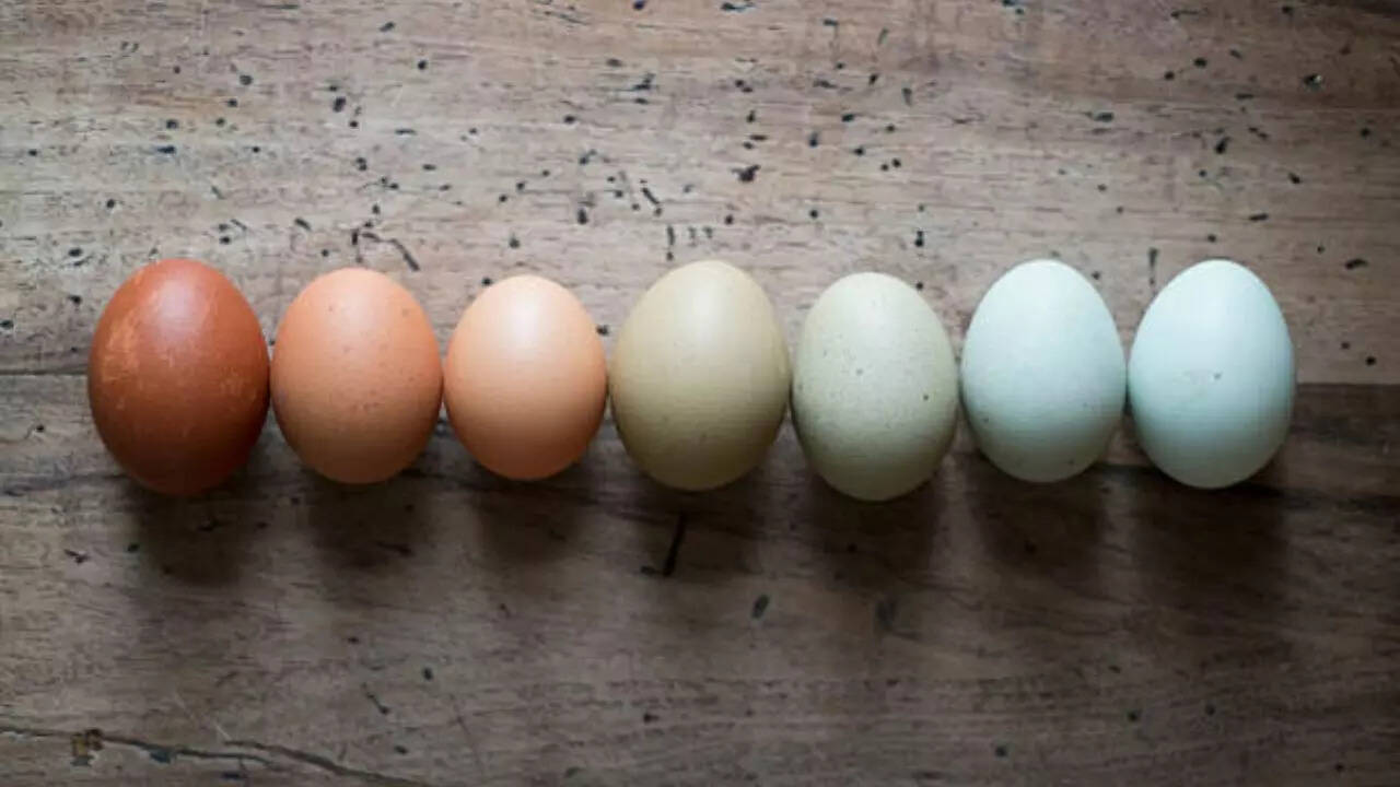 Which is healthier: White or brown eggs?
