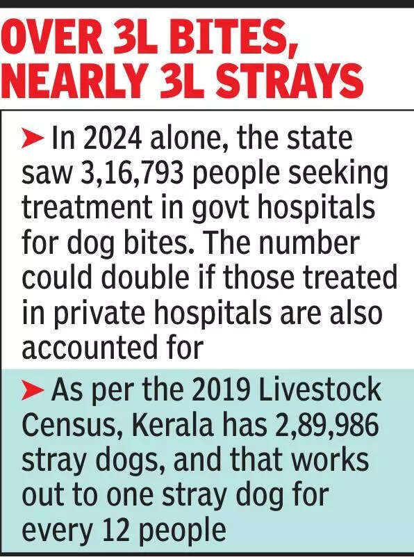 Govt banks on panel’s watch as dog menace deepens