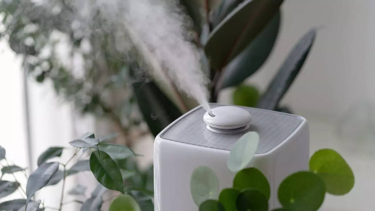 Protects furniture and indoor plants