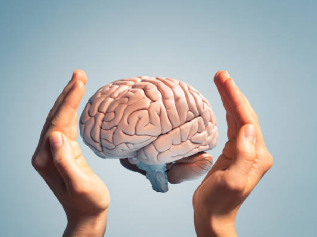 Supports brain function