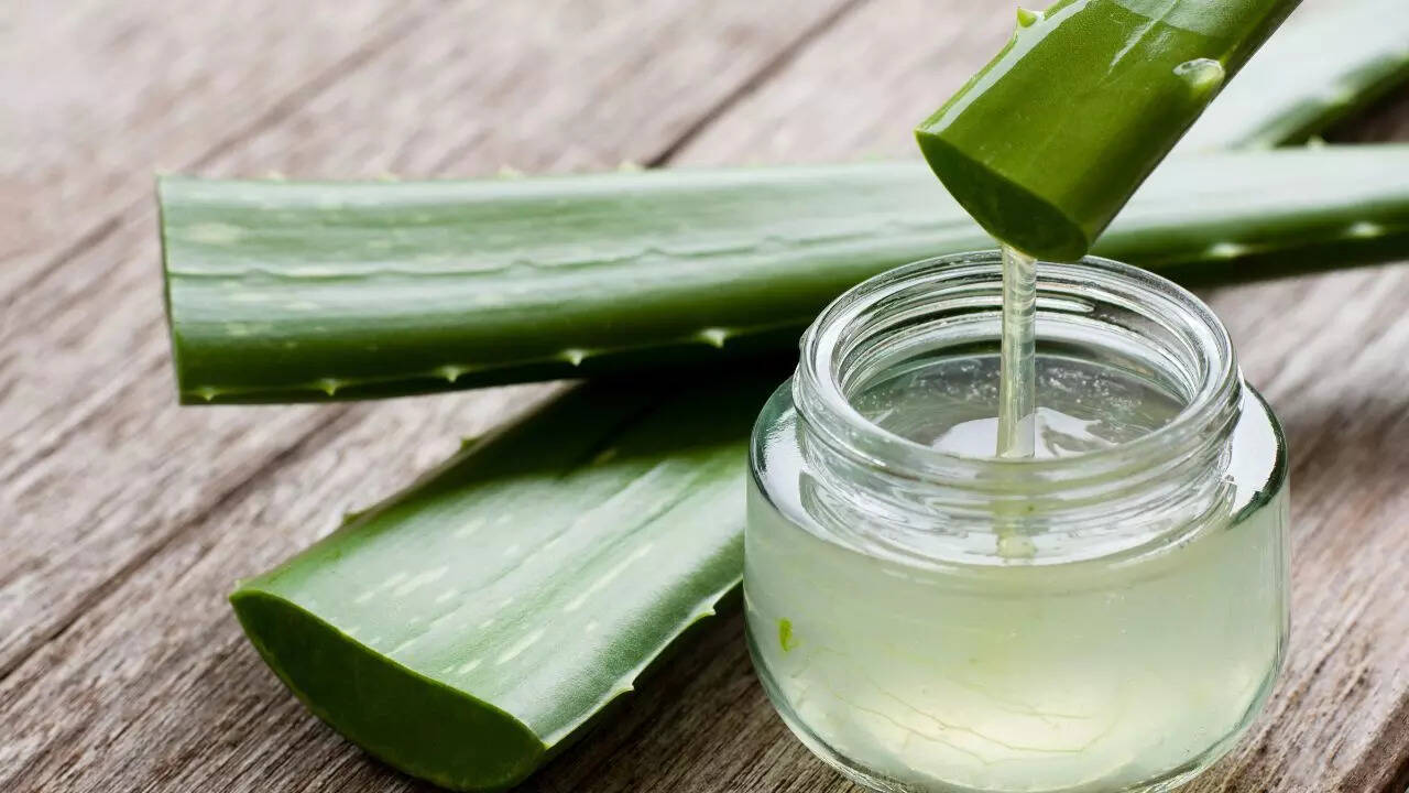 Aloe vera