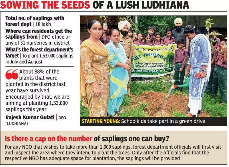 Get a sapling at 2, plant a tree