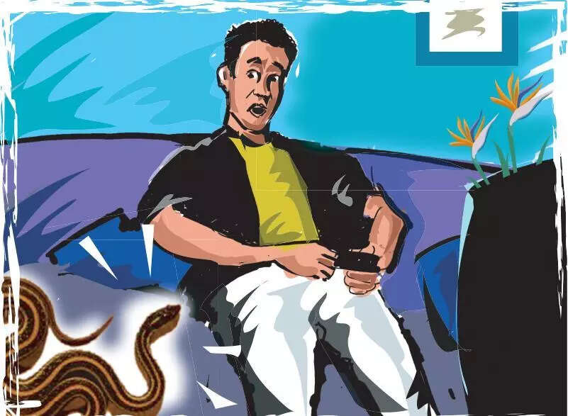 5 yrs of Sarpa App, snakebites dip in dist