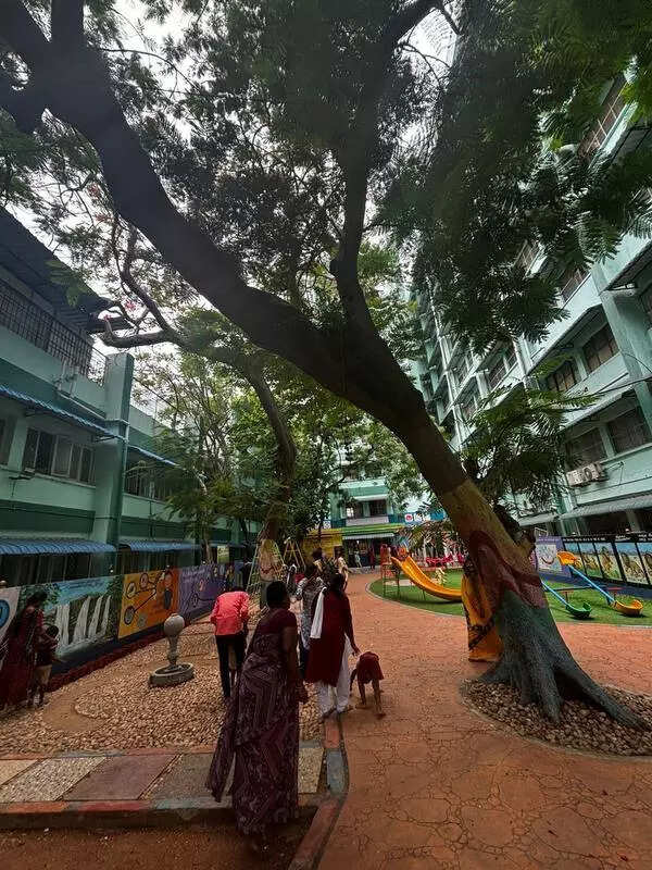 DEIC provides a playground for the brain