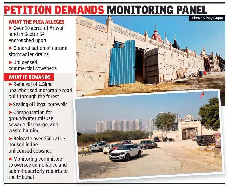 Illegal building to car park in protected Aravalis: NGT serves notice to Haryana