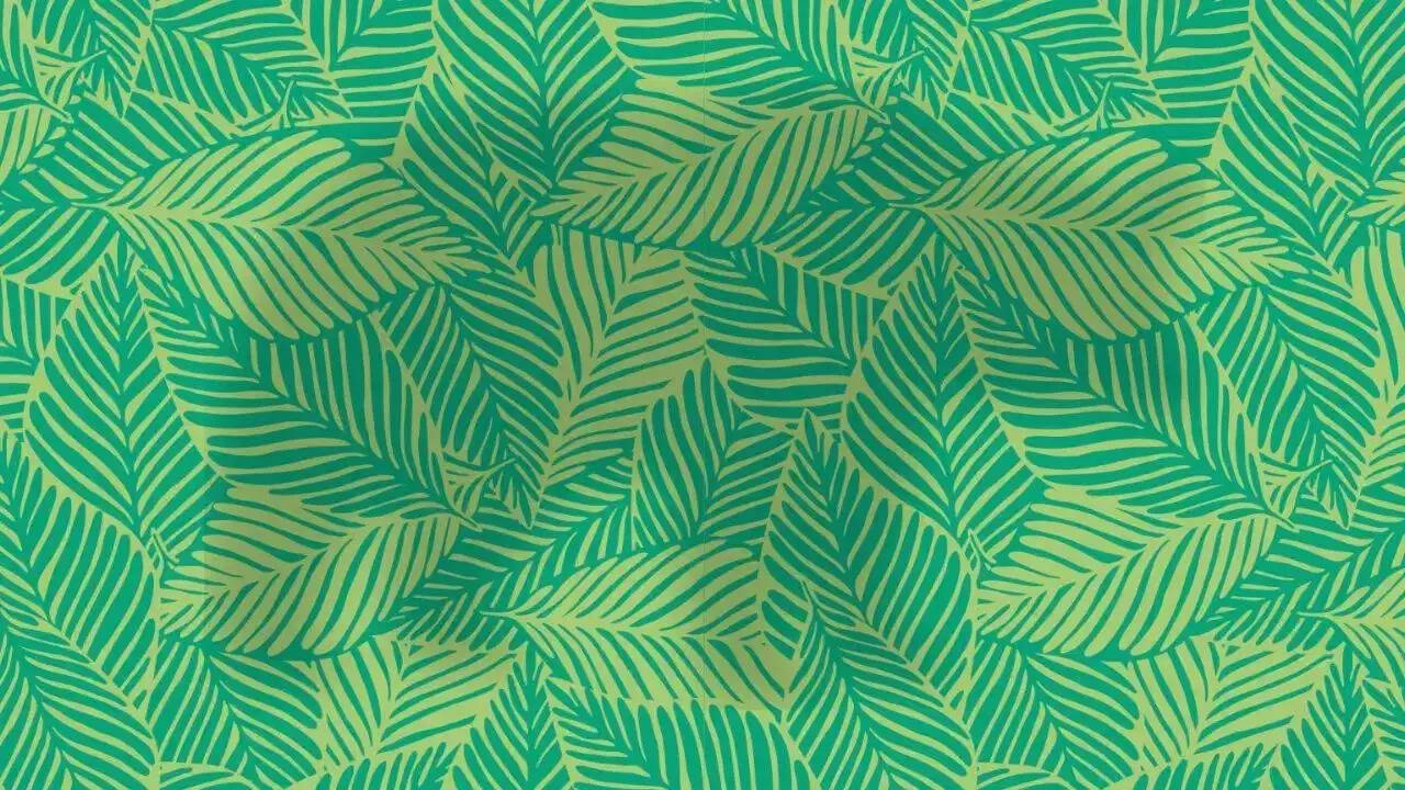 Optical illusion: Do you have sharp eyes and observation?? Find the hidden animal!!