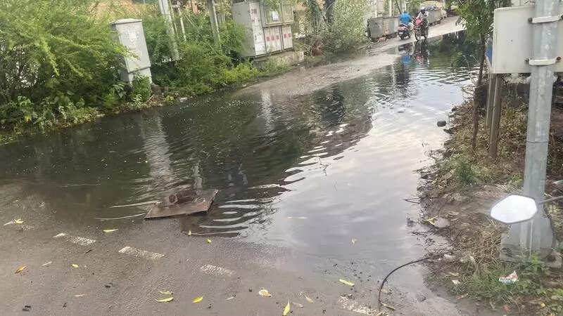 Perungudi residents wade through sewage-logged roads