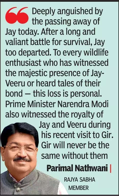 Iconic pair’s era ends: Jay reunites with Veeru in death