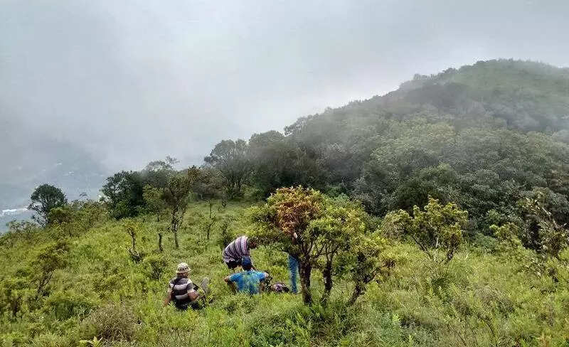 State changes tack, seeks revised proposal for Goa-Tamnar power line