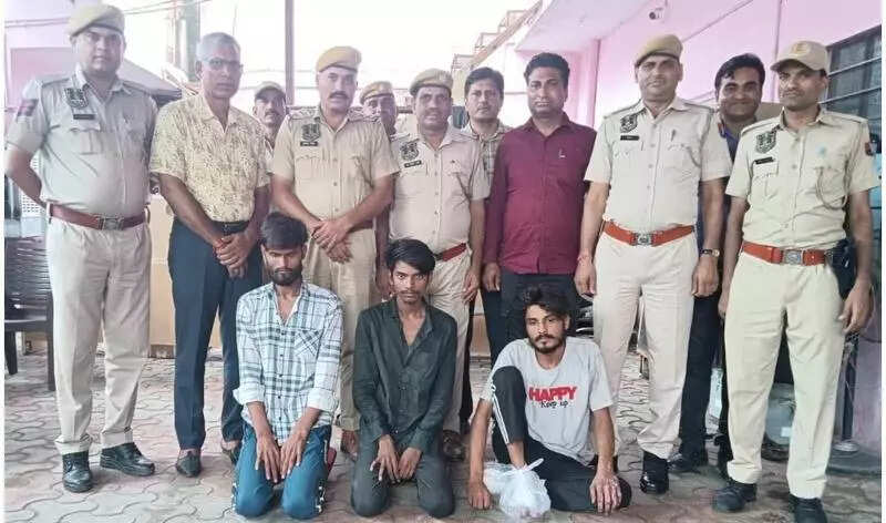 msid 123005336,imgsize 52218 https://jaipur.visitinrajasthan.com/wp-content/uploads/2023/10/cropped-cropped-R-2.png