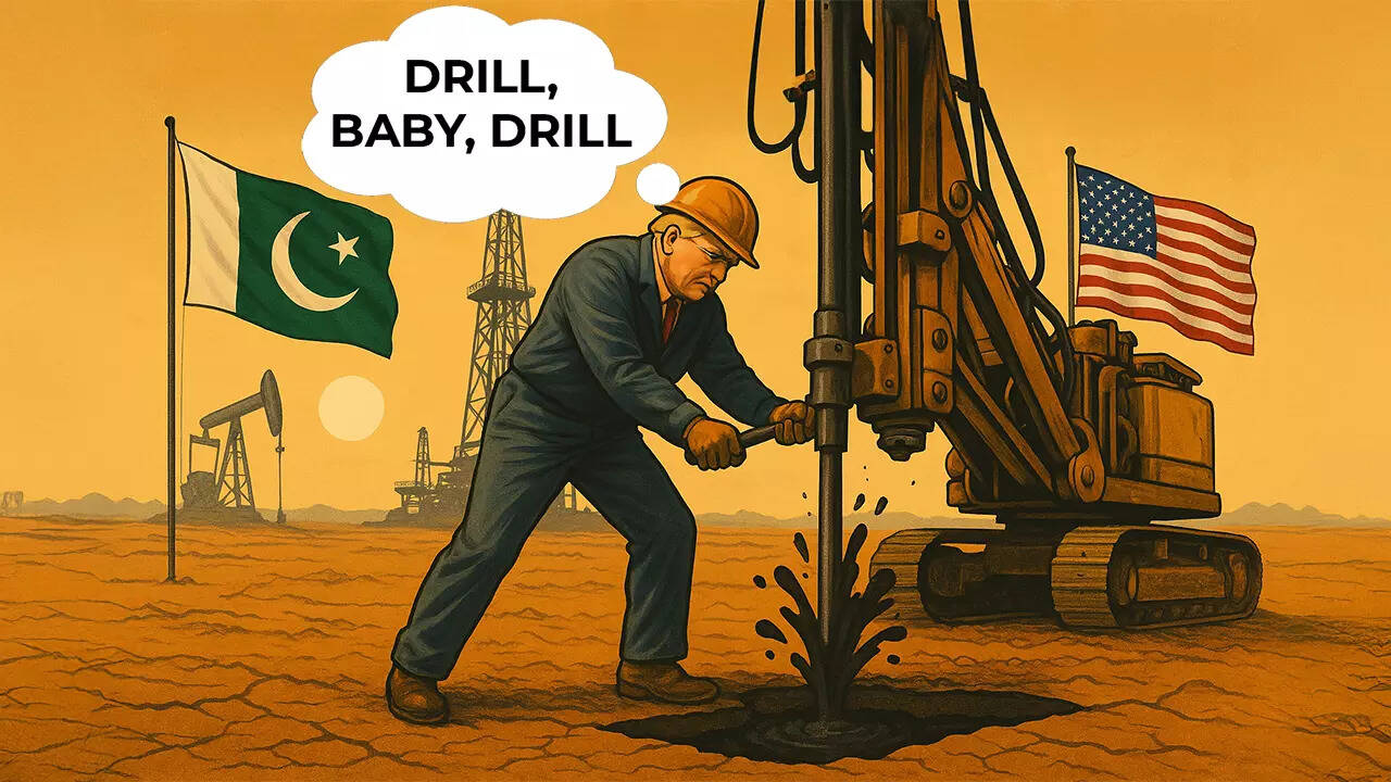 Trump vows to help Pak tap 'massive oil reserves': How it compares to India - top points