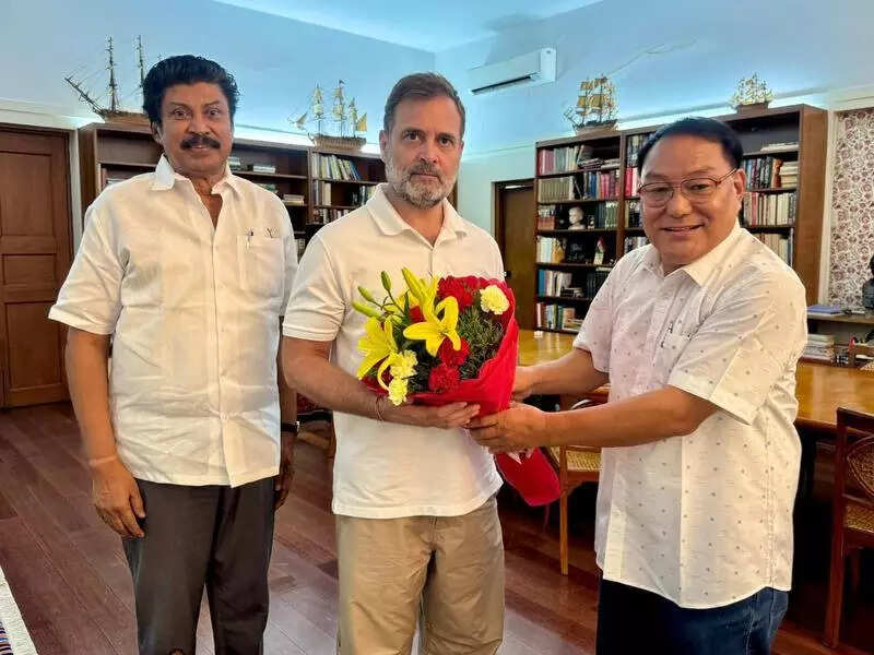 APCC prez meets Rahul, raises concern over proposed Siang project