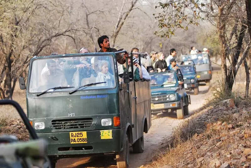 msid 123029523,imgsize 83720 https://jaipur.visitinrajasthan.com/wp-content/uploads/2023/10/cropped-cropped-R-2.png