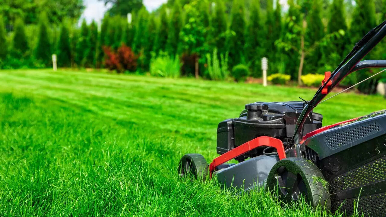 Why cutting your grass too short is the biggest lawn care mistake and what to do instead