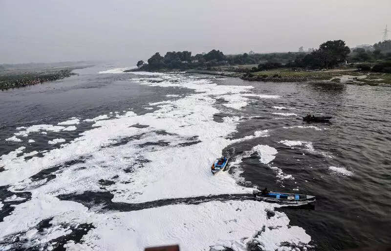 HC to agencies: Ensure only treated water is discharged into Yamuna