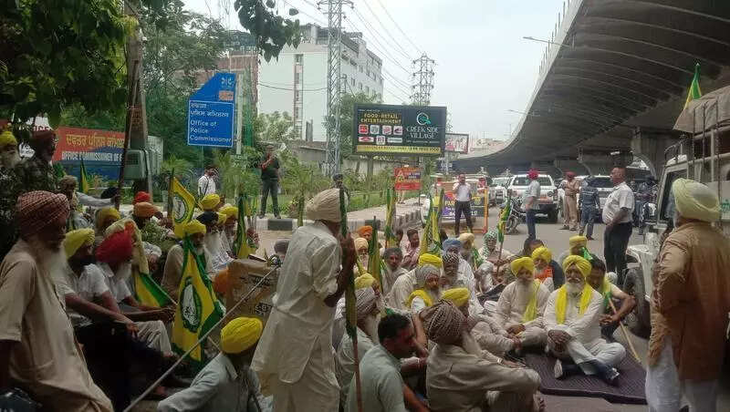 BJP will take Punjab farmers’ voice to governor: Baliawal