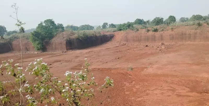 Industrialisation, quarrying behind rise in elephant attacks: Activists