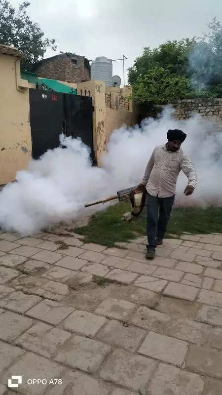 Health officials flag mosquito breeding in city schools, homes