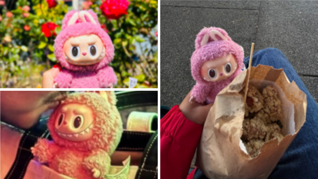 She’s pink, has scuffs on face & eats popcorn chicken: Labubu doll goes missing in US